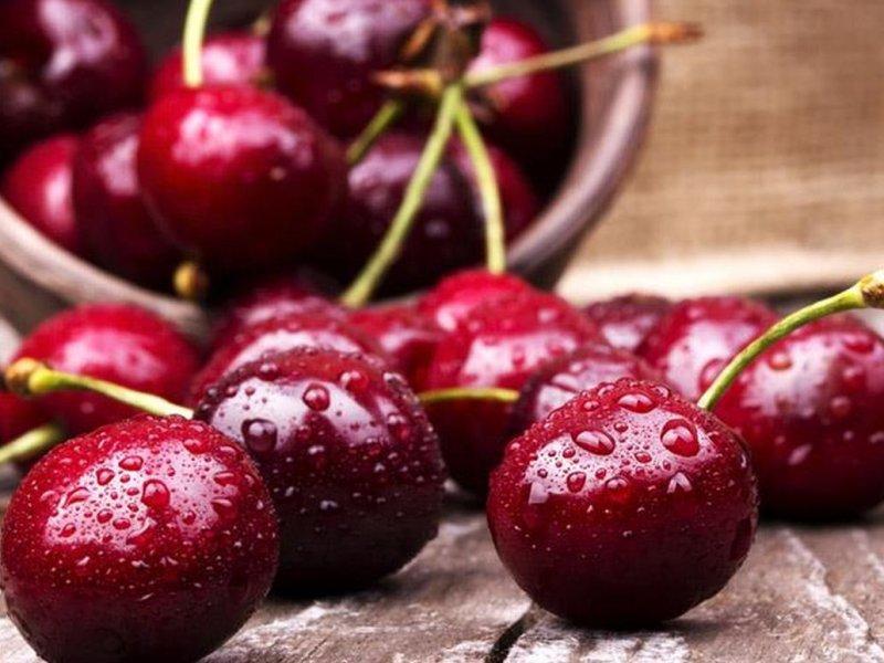 Вишня купить саженцы из питомника в Кузнецке